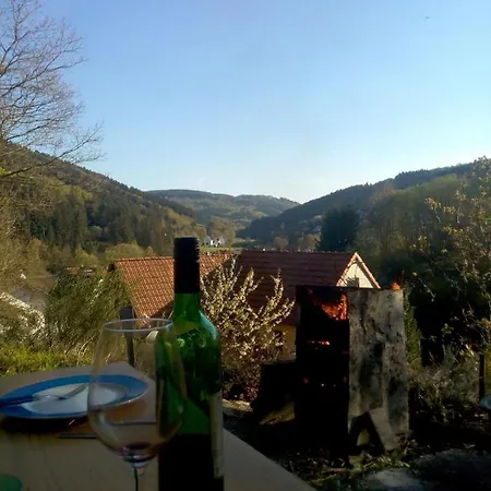 Fewo Pacohaus Naehe Willingen Diemelsee Brilon Buitenkant foto