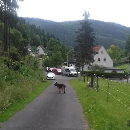 Fewo Pacohaus Naehe Willingen Diemelsee Brilon Buitenkant foto