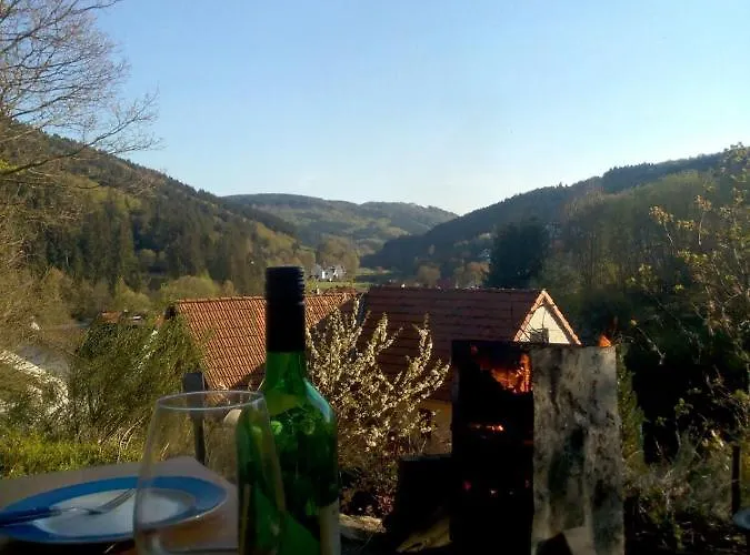 Fewo Pacohaus Naehe Willingen Diemelsee