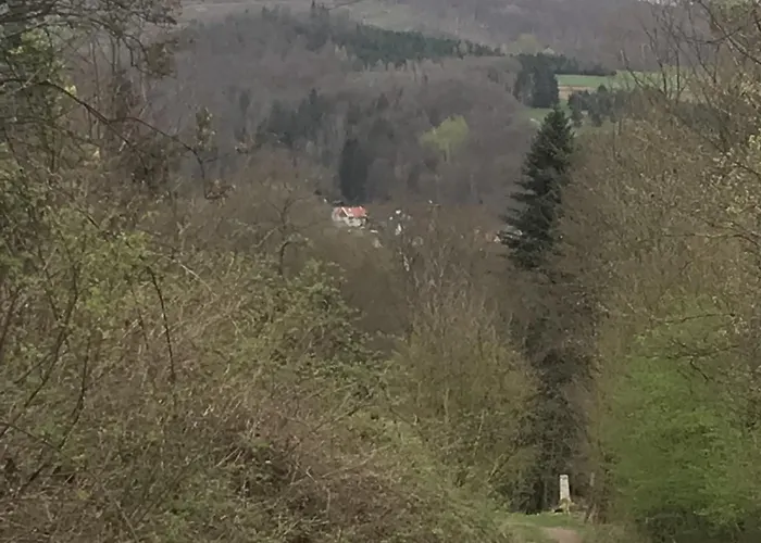 Fewo Pacohaus Naehe Willingen Diemelsee