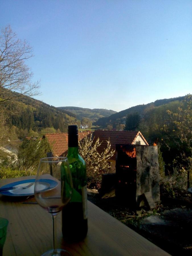 Pacohaus Naehe Willingen Diemelsee Brilon