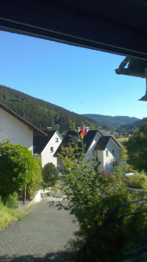 Pacohaus Naehe Willingen Diemelsee Apartment