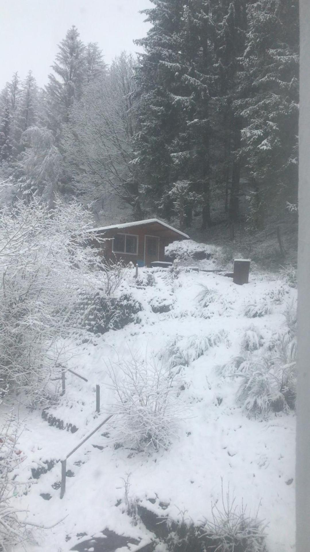 Pacohaus Naehe Willingen Diemelsee Apartment